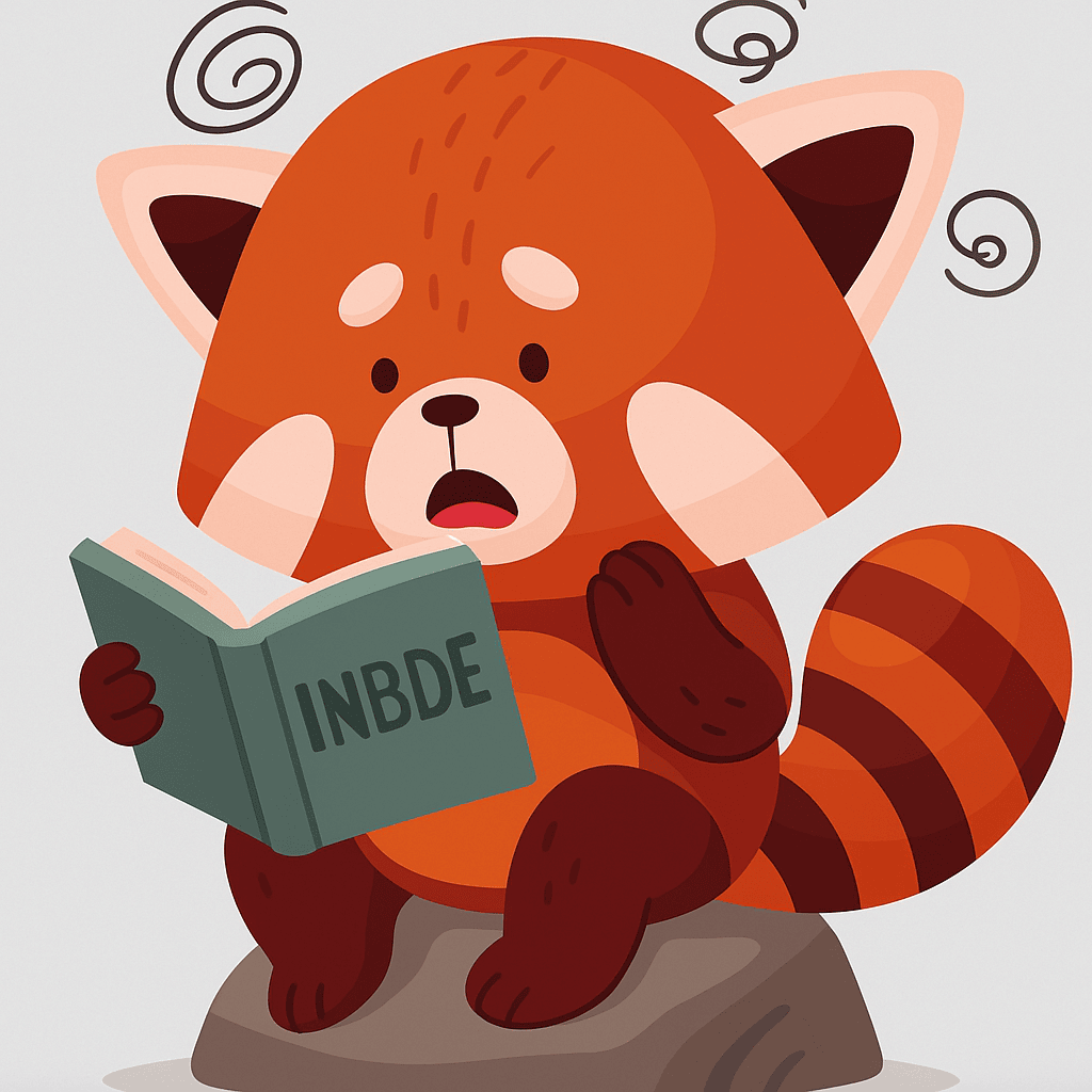 red panda siting on rock reading INBDE book
